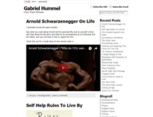 Tablet Screenshot of gabrielhummel.com